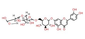 Luteolin 7-O-(6-O-malonyl)-b-d-glucopyranoside